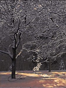 Winter Shadows by Lisa Drew