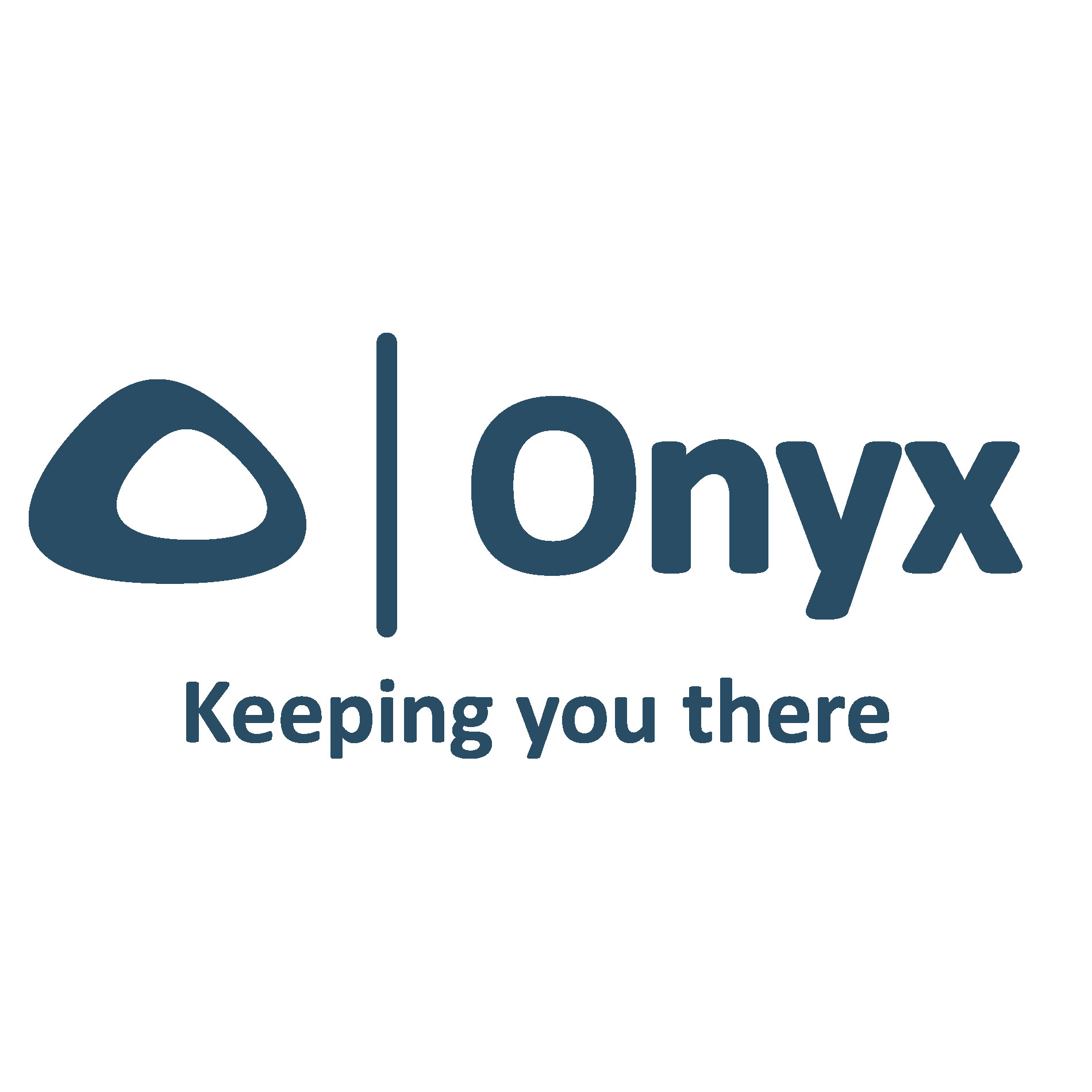 onyxlogo_1.jpg
