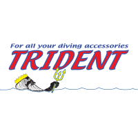 tridentvector.png