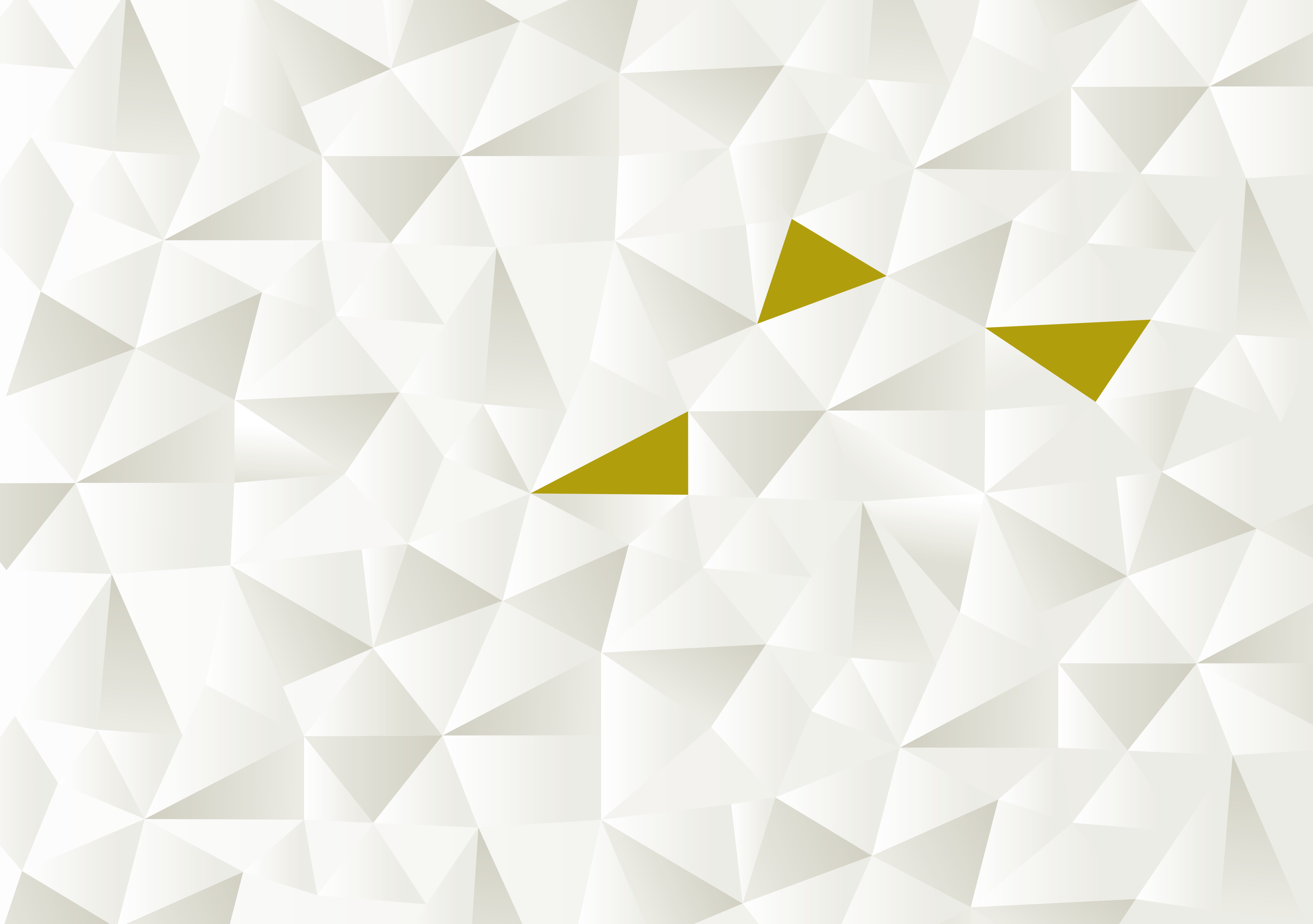 Etihad Airways Color Palette
