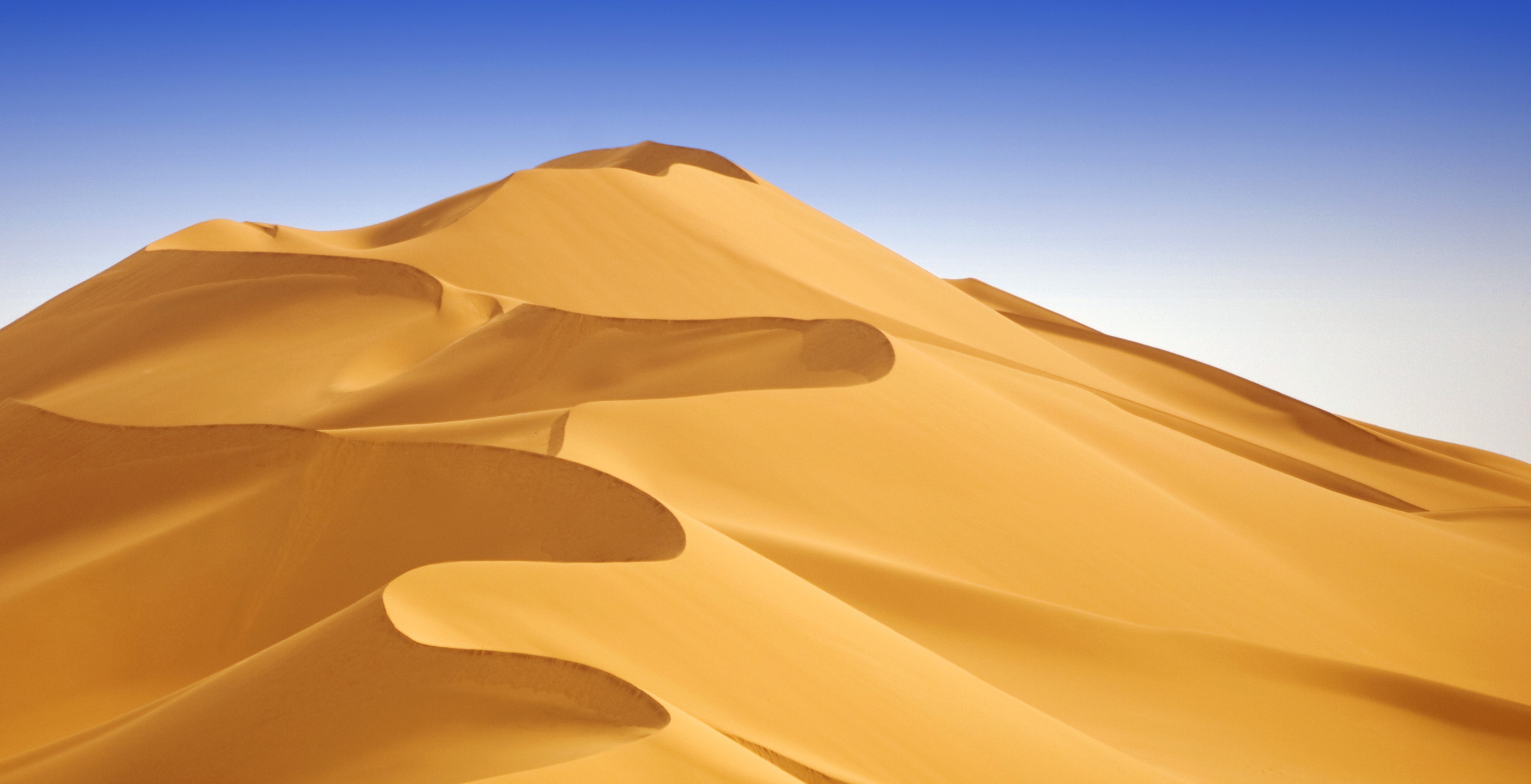 Etihad Airways Inspiration