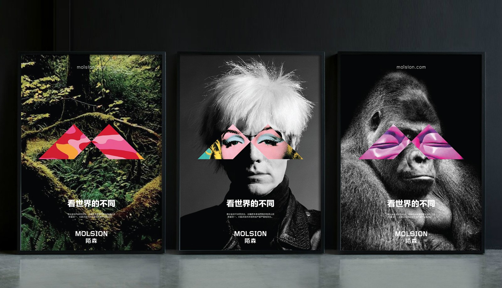 MOLSION POSTERS