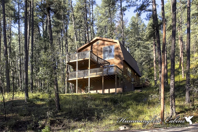 Bear Paradise Hummingbird Cabins