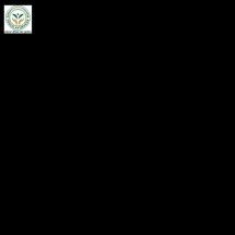 Venus Marketing Agency Venus Marketing Agency