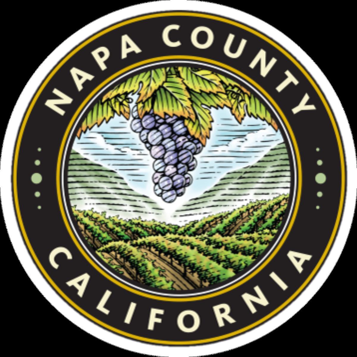 COVID19 ICU Bed Status for Napa County and Bay Area