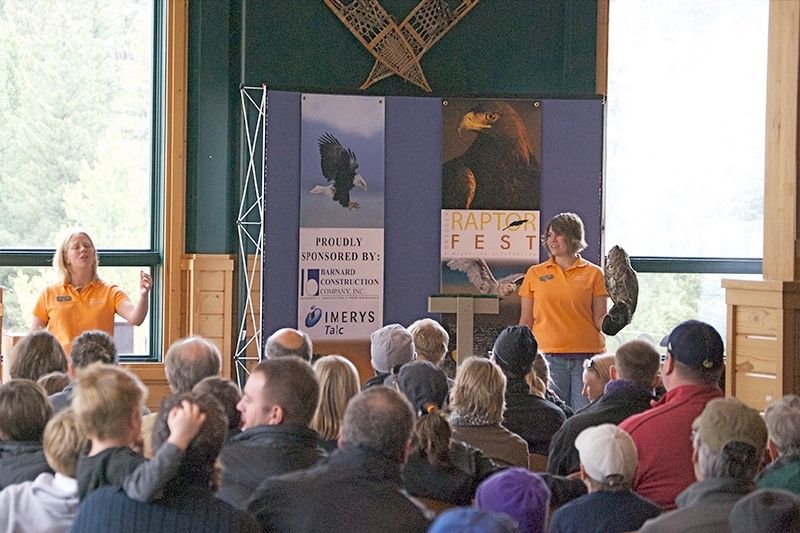 Bridger Raptor Festival
