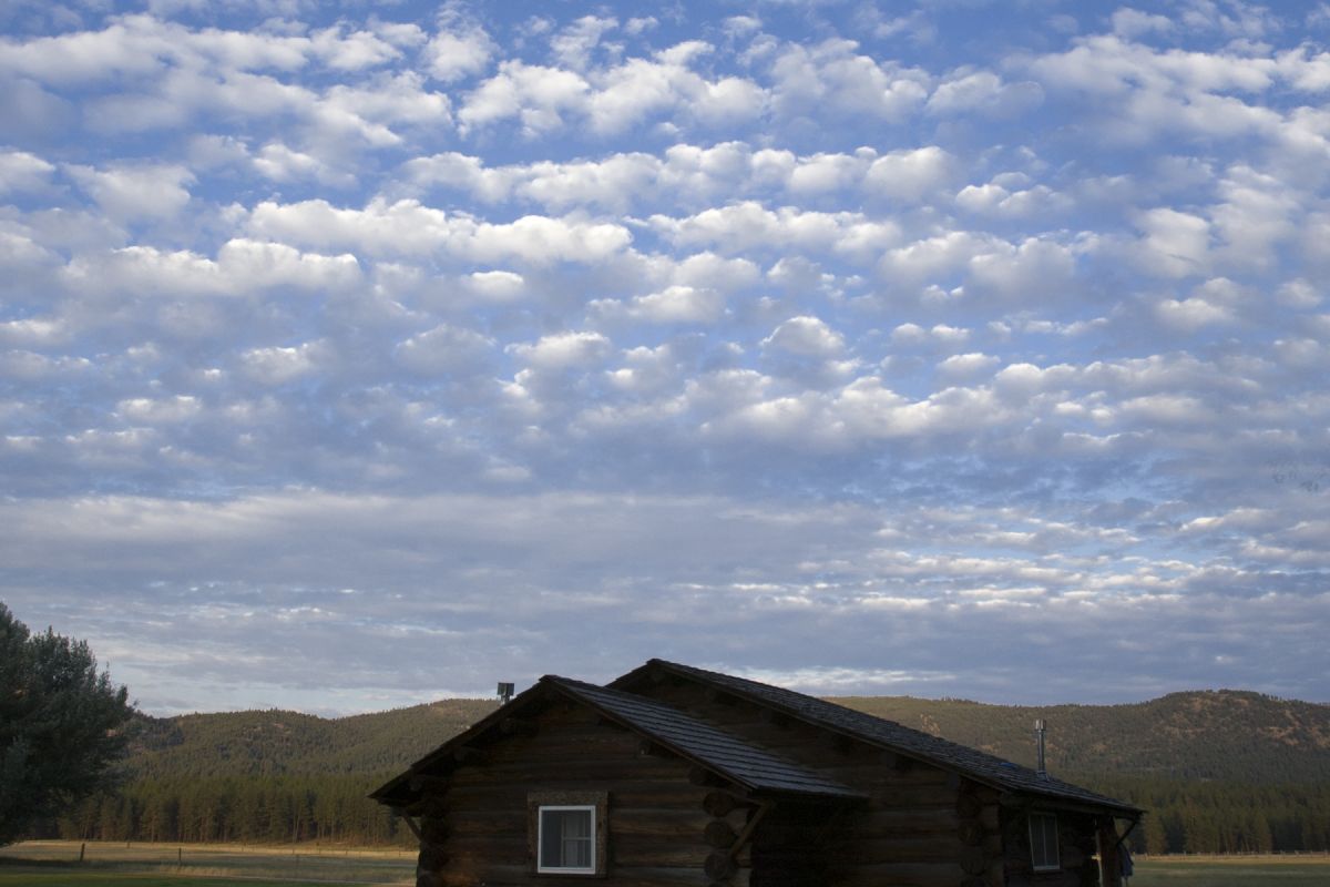 E Bar L Ranch Lively Times