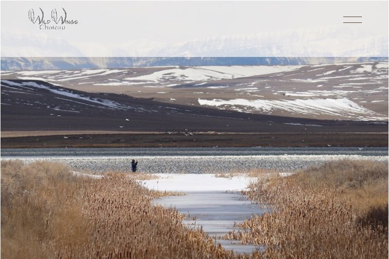 Wild Wings Spring Migration Festival