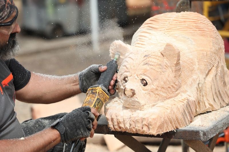 Mission Valley Chainsaw Carving Rendezvous 2024