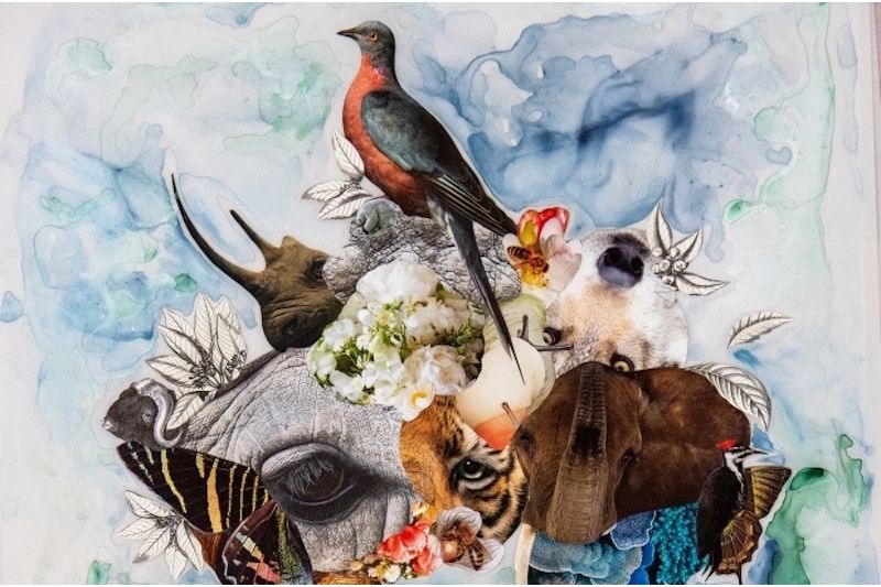 Bozeman Symphony: Nature’s Wonders: Beethoven’s Pastoral Symphony