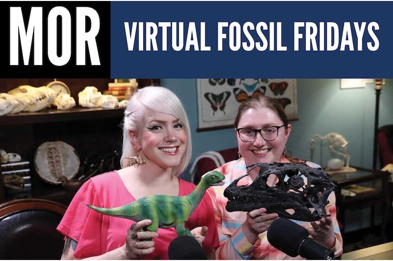 Virtual Fossil Fridays