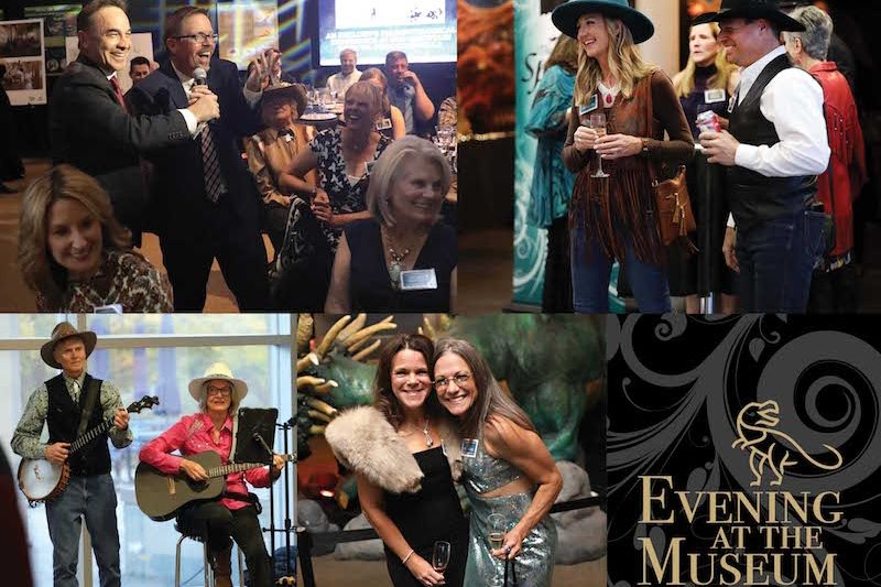 Evening at the Museum: Where Curiosity, Culture, and Conversation Converge