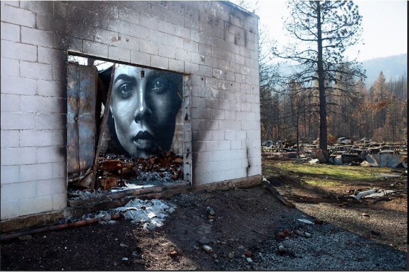 Exhibition: Ruth Morgan and Requiem: The Remains of the Day