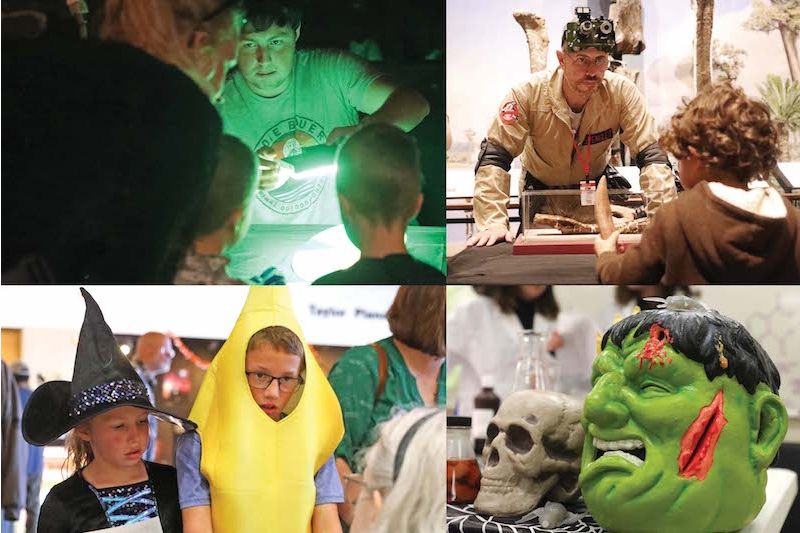 Grossology Halloween Family Day