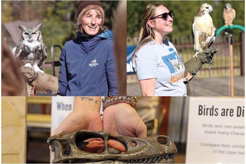 Bridger Raptor Festival