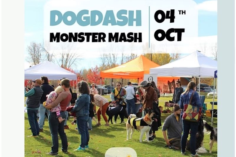 DogDash Monster Mash