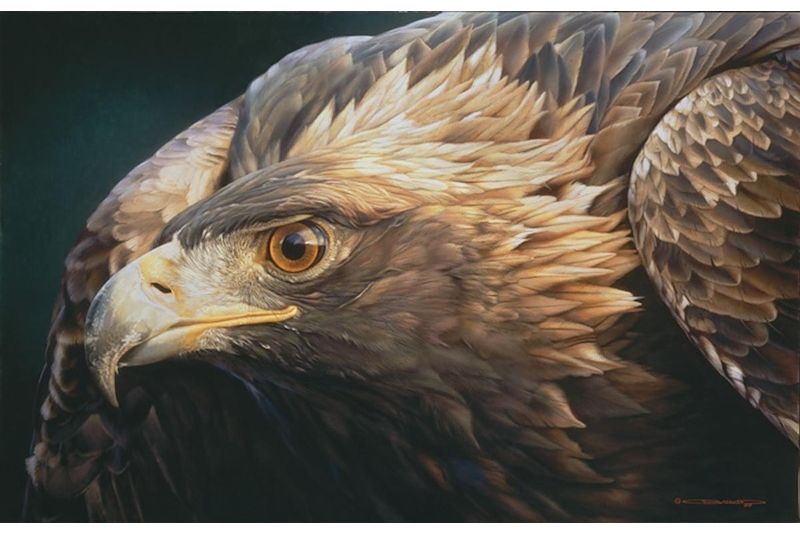 Exhibition: Close Encounters: Wildlife Paintings by Carl Brenders