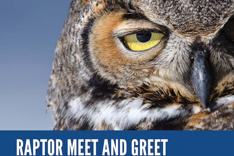 Raptor Meet and Greet