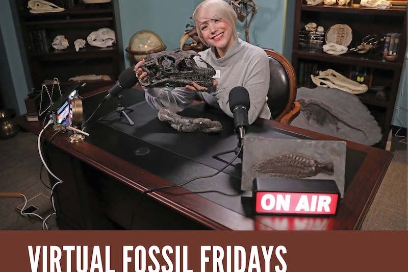 Virtual Fossil Friday