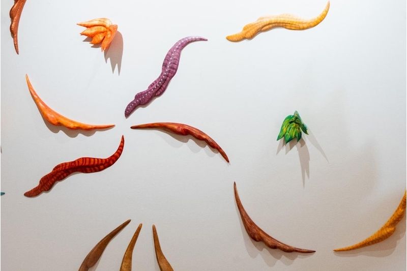 Exhibition: Feathers, Squiggles and Wings by Chip Clawson