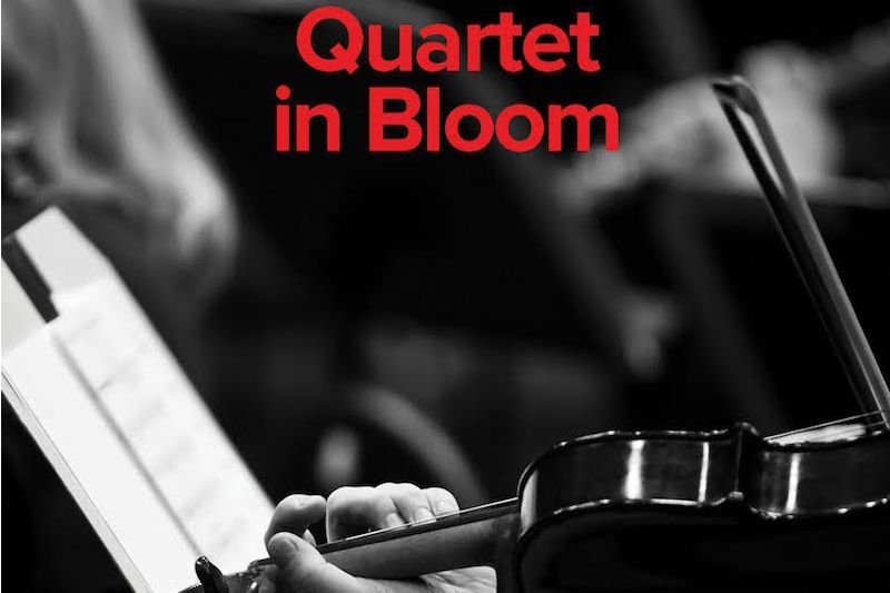 Cascade Quartet: Chamber Music Series: Quartet in Bloom