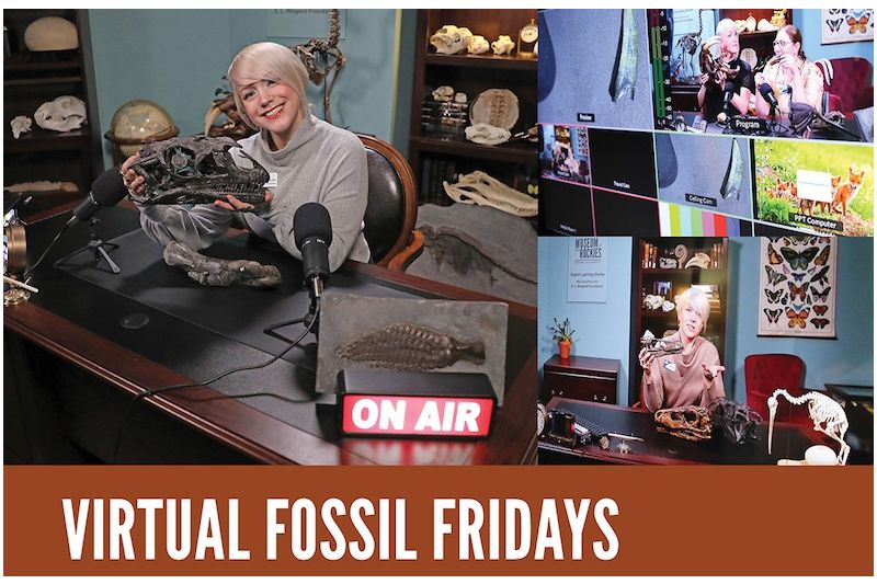 Virtual Fossil Fridays