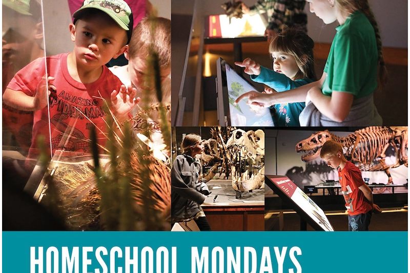Homeschool Mondays