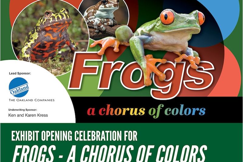 Exhibit Opening Celebration for FROGS – A Chorus of Colors