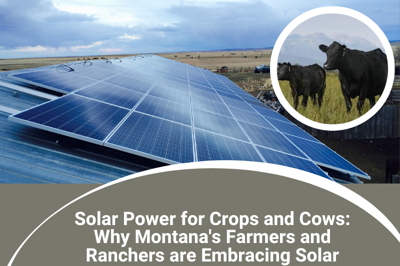 Solar Power for Crops and Cows: Why Montana's Farmers and Ranchers are Embracing Solar