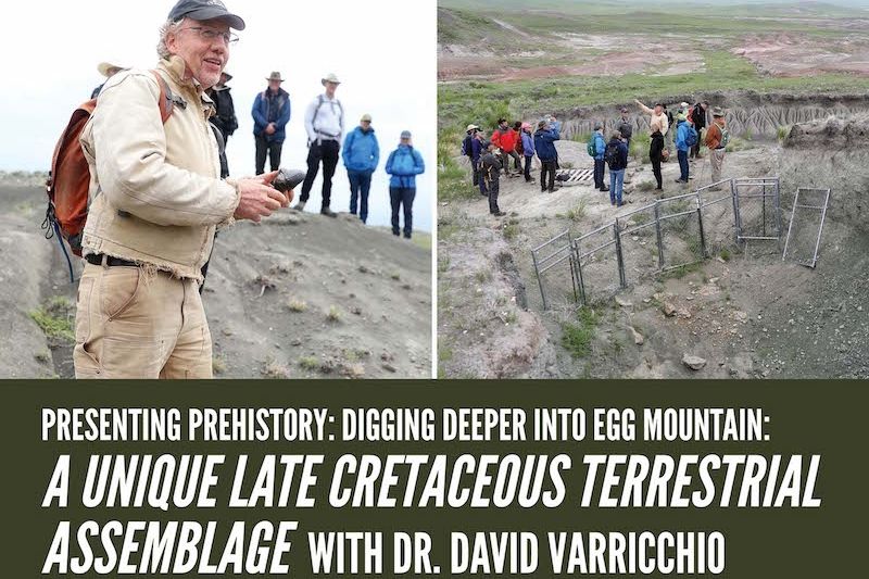 Presenting Prehistory: Digging Deeper into Egg Mountain: A Unique Late Cretaceous Terrestrial Assemblage
