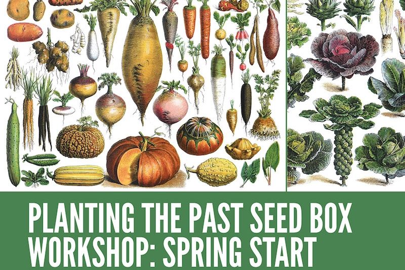 Planting the Past Seed Box Workshop: Spring Start