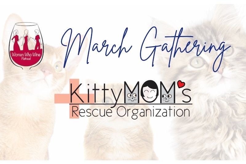 March Gathering in Support of Kitty MOM’s Rescue