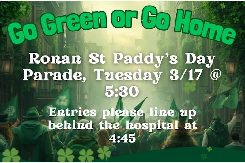 St. Patrick’s Day Parade: Go Green or Go Home