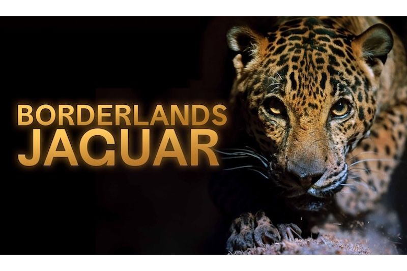 Bozeman Film Society presents Borderlands Jaguar