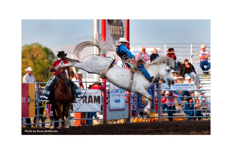 Last Chance Stampede and Fair