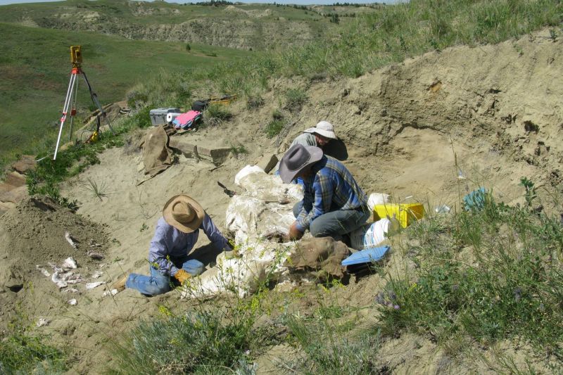 Digging Dinosaurs near Malta, Montana