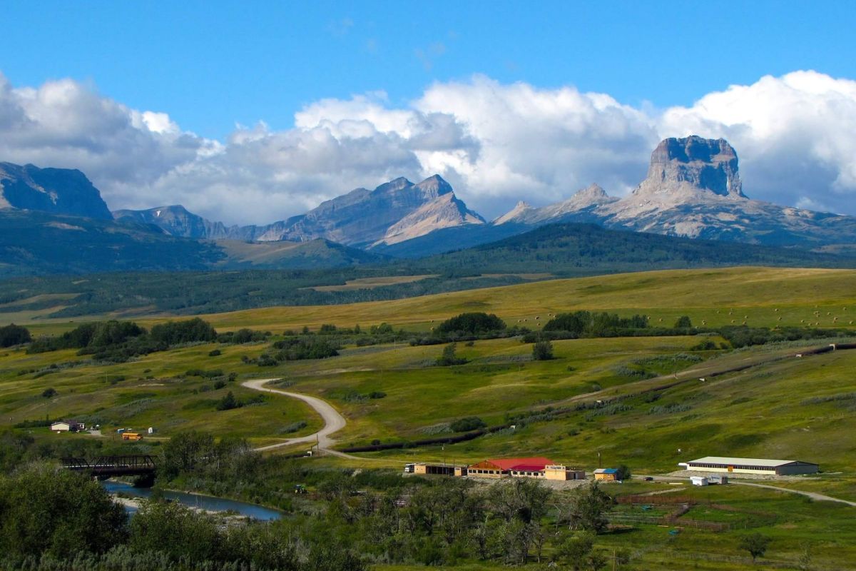 Hooks Hideaway Lively Times