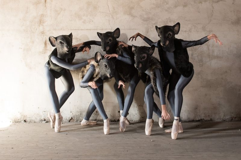 The Rats from the Battle Scene