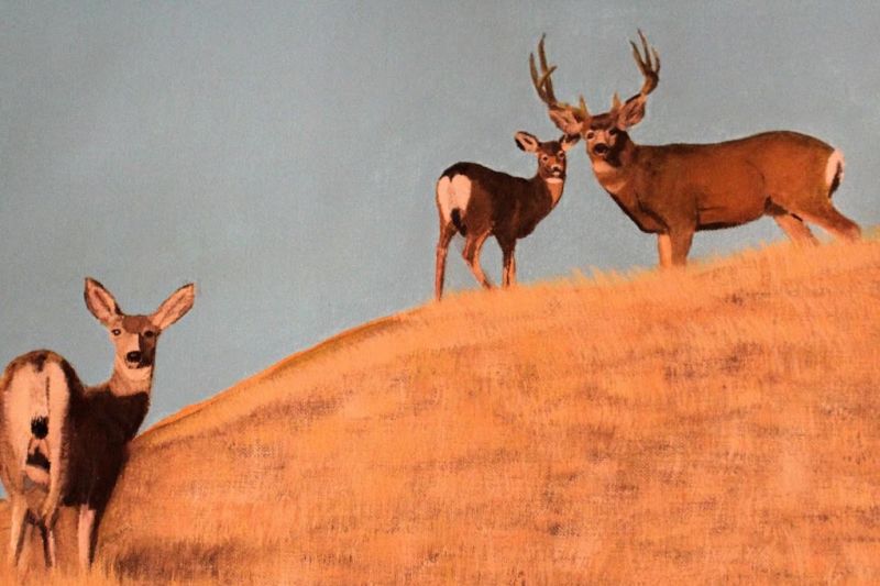 Painting by David Torkelson