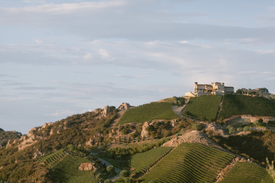 Cielo Winery Wedding LVL Weddings & Events Cielo Winery Wedding LVL Weddings & Events