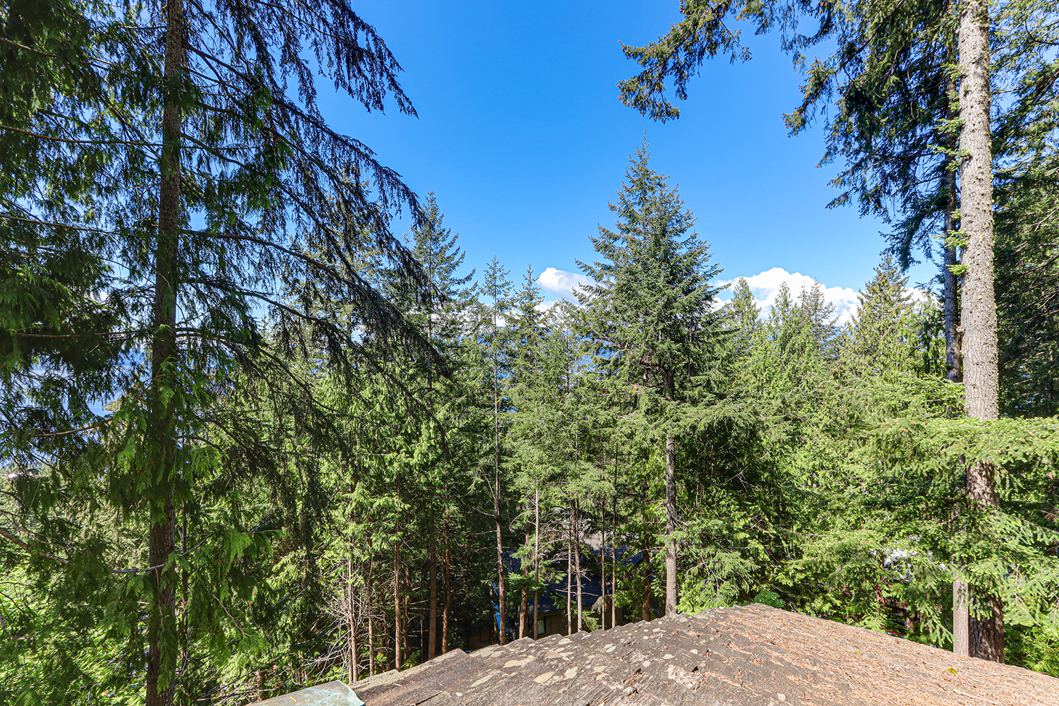 Property photo 132