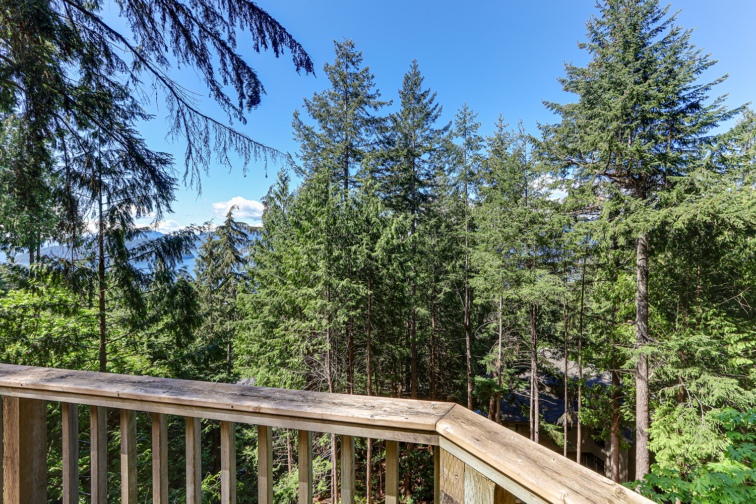 Property photo 134