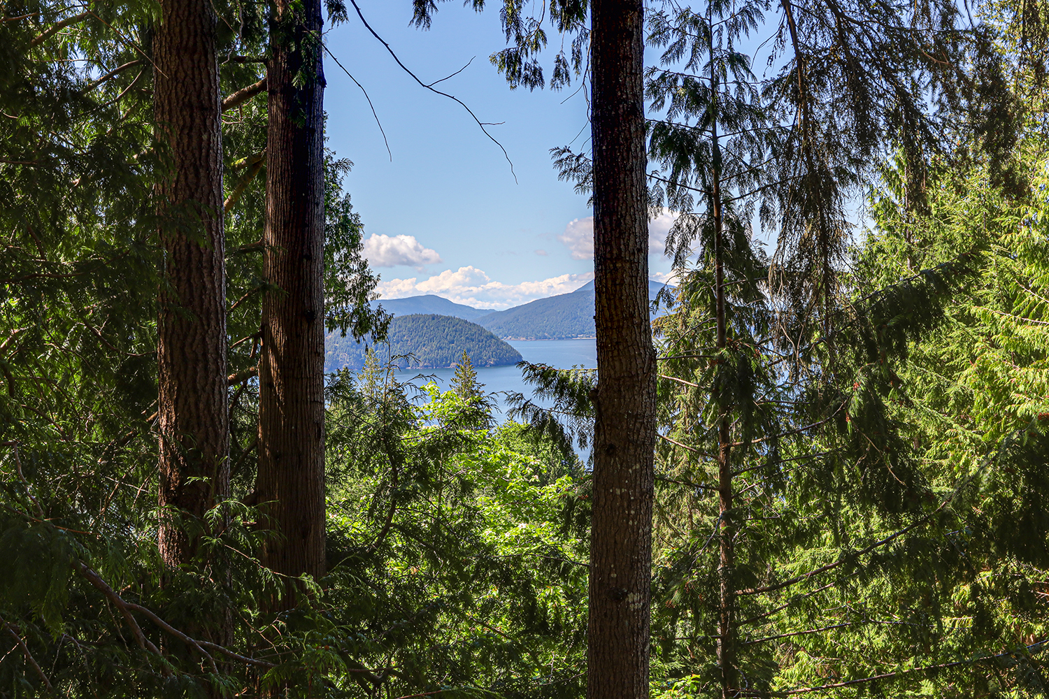 Property photo 136