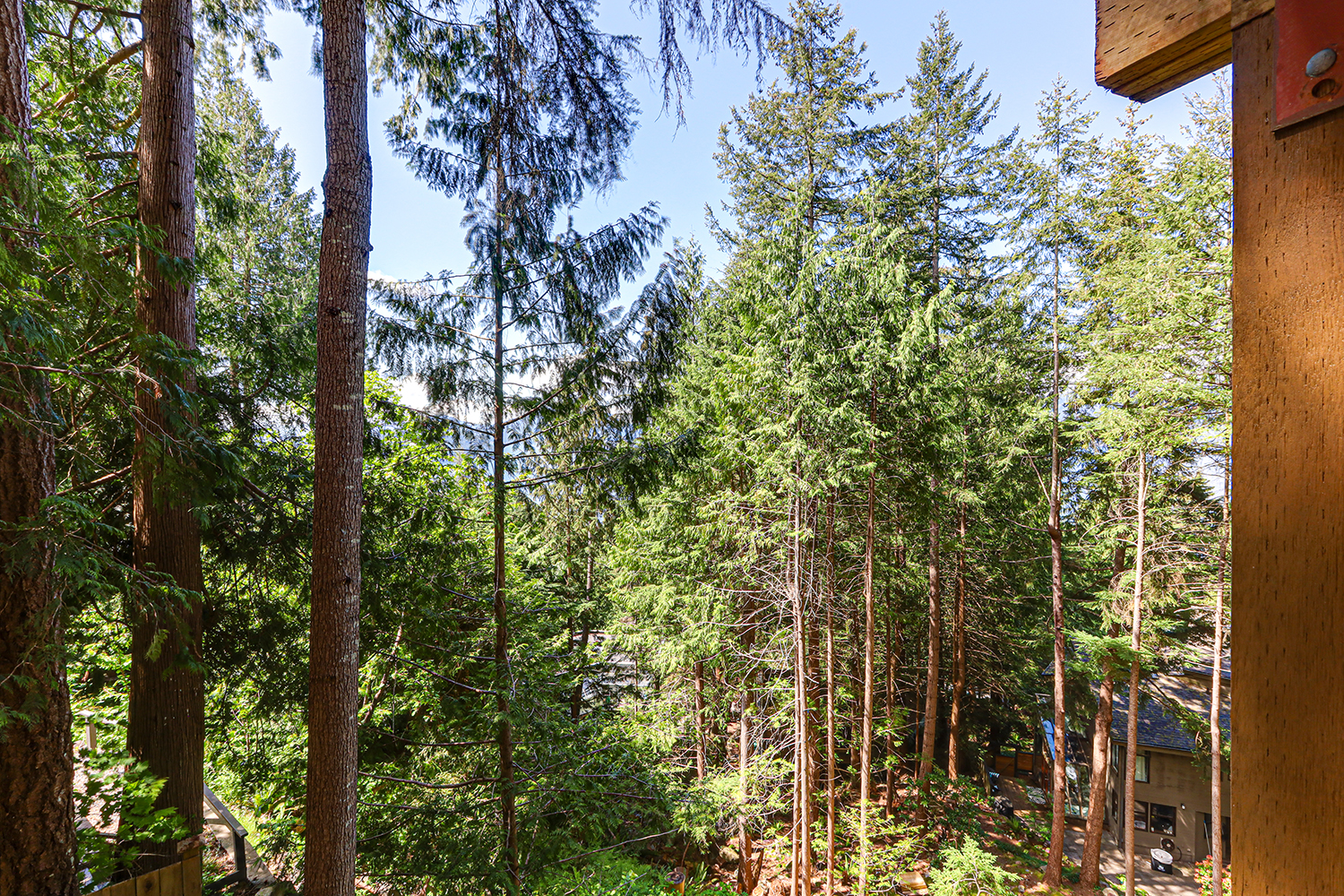 Property photo 147