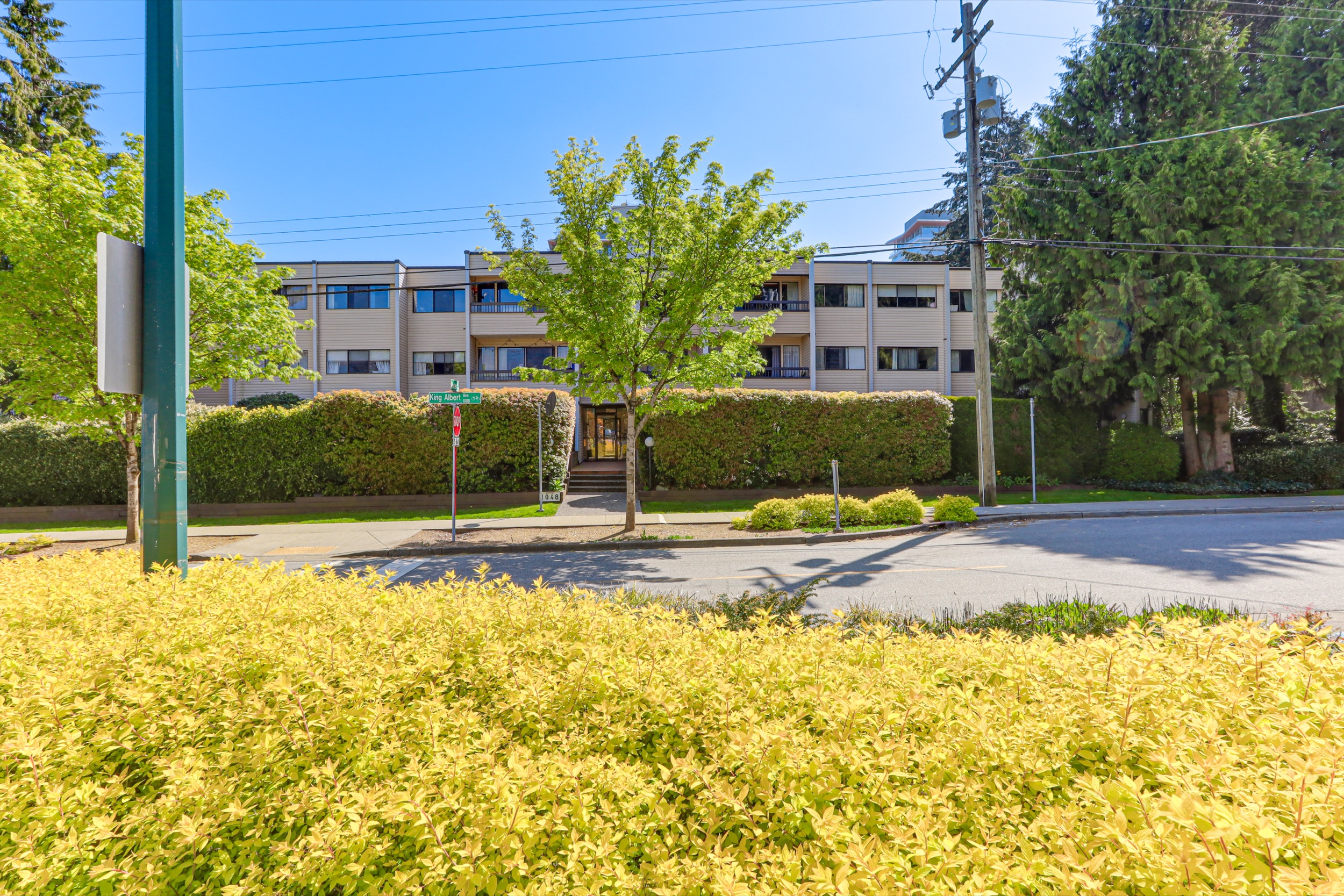 Property photo 100