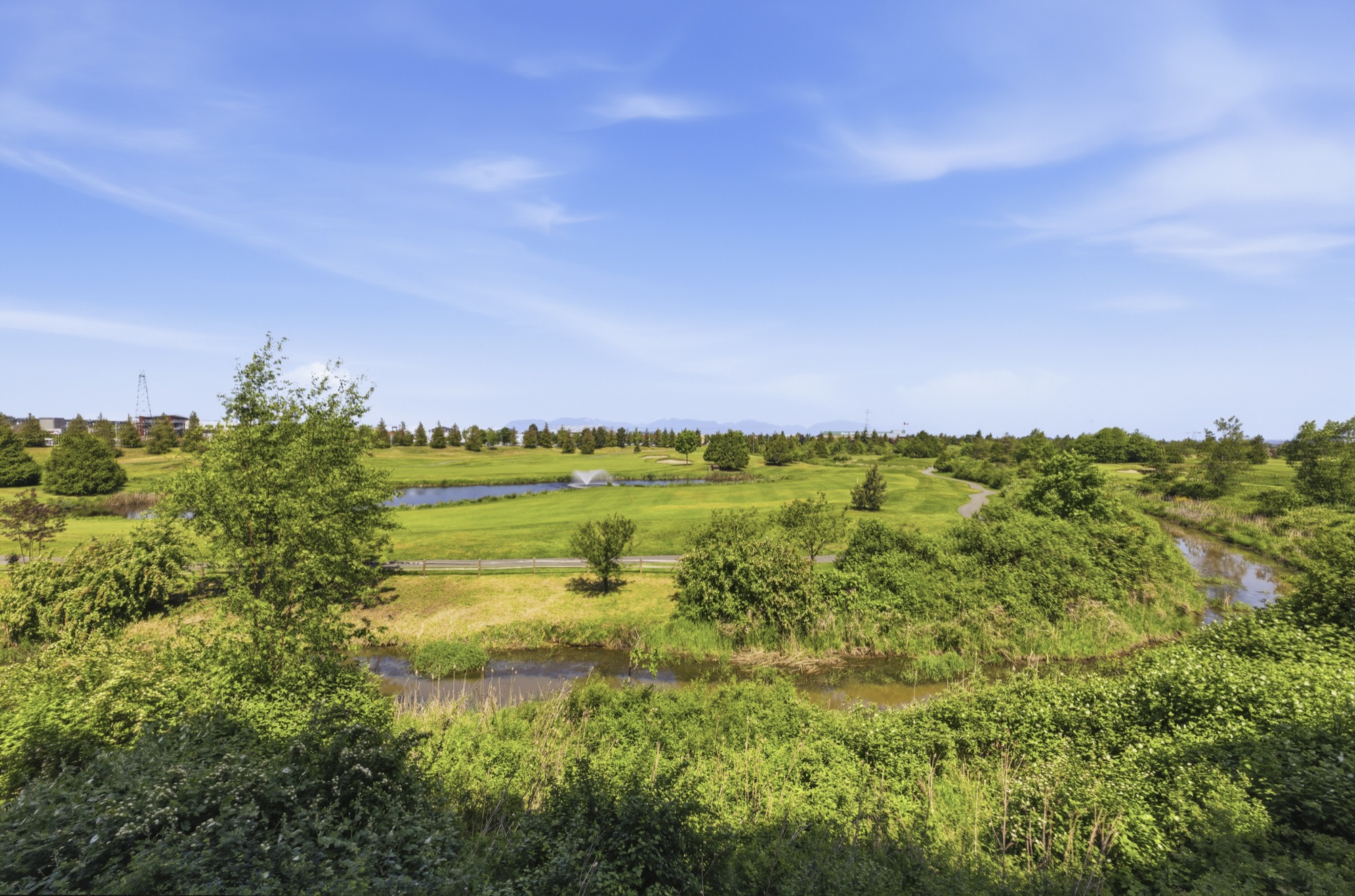 Property photo 131