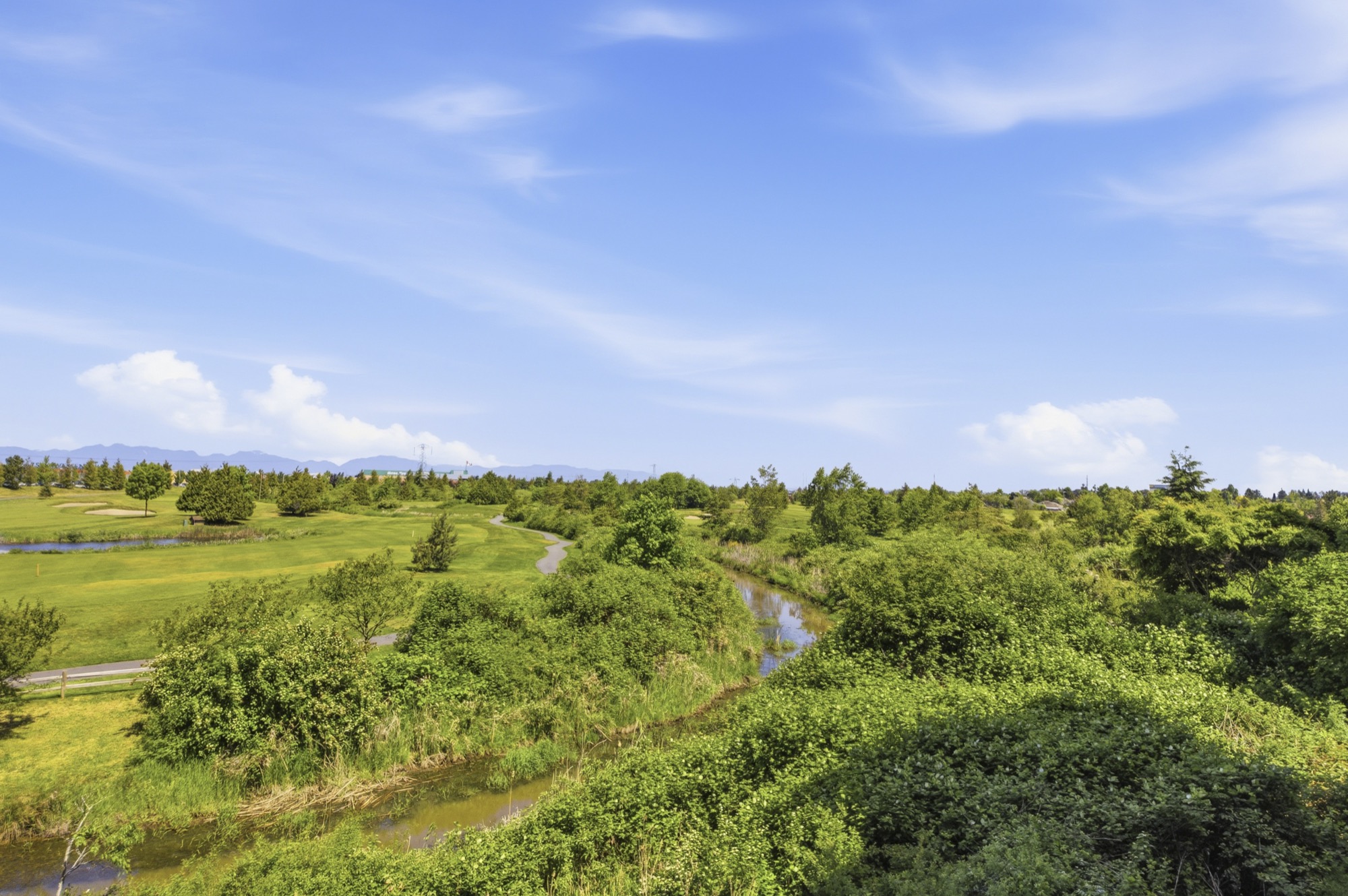Property photo 132