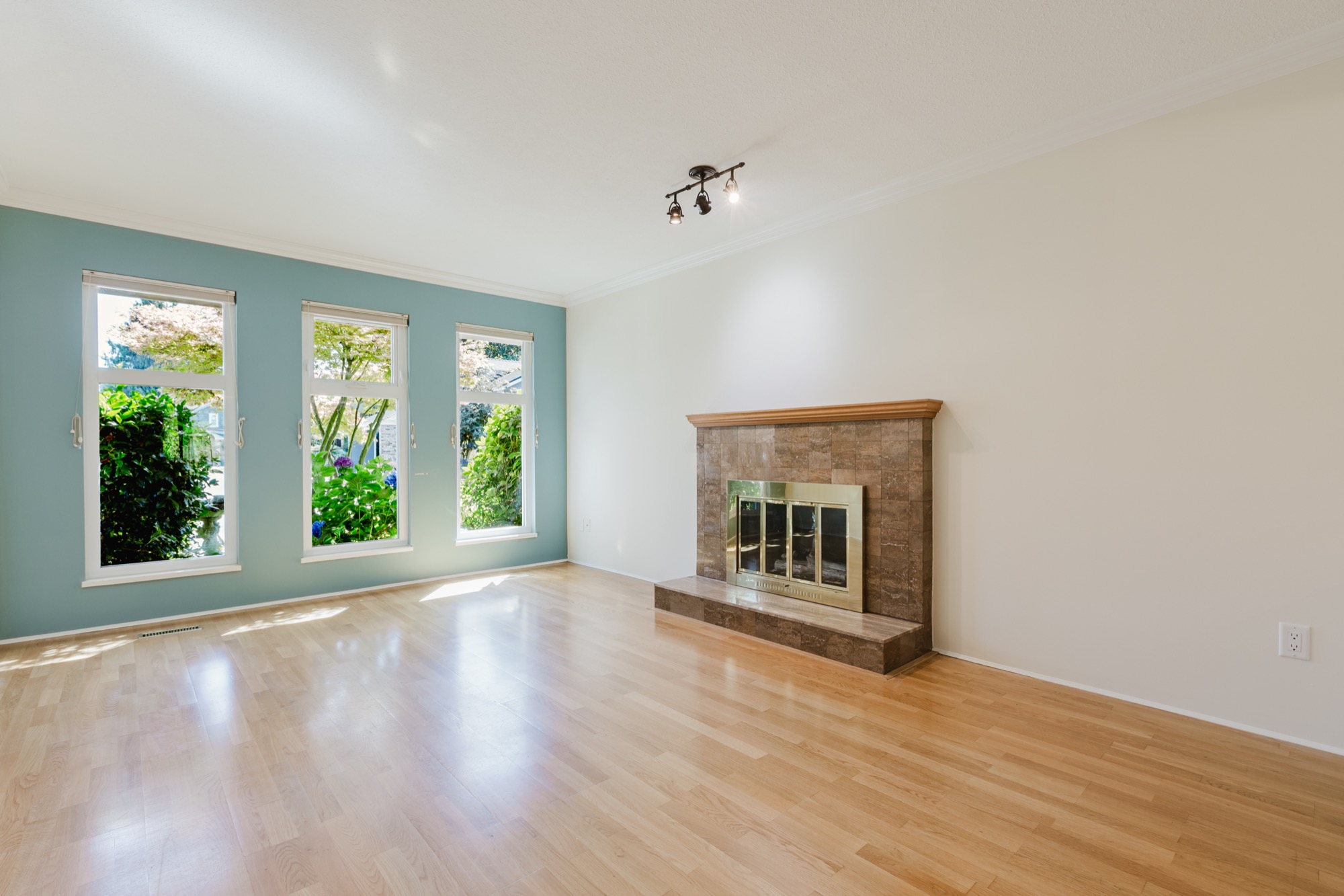 Property photo 103