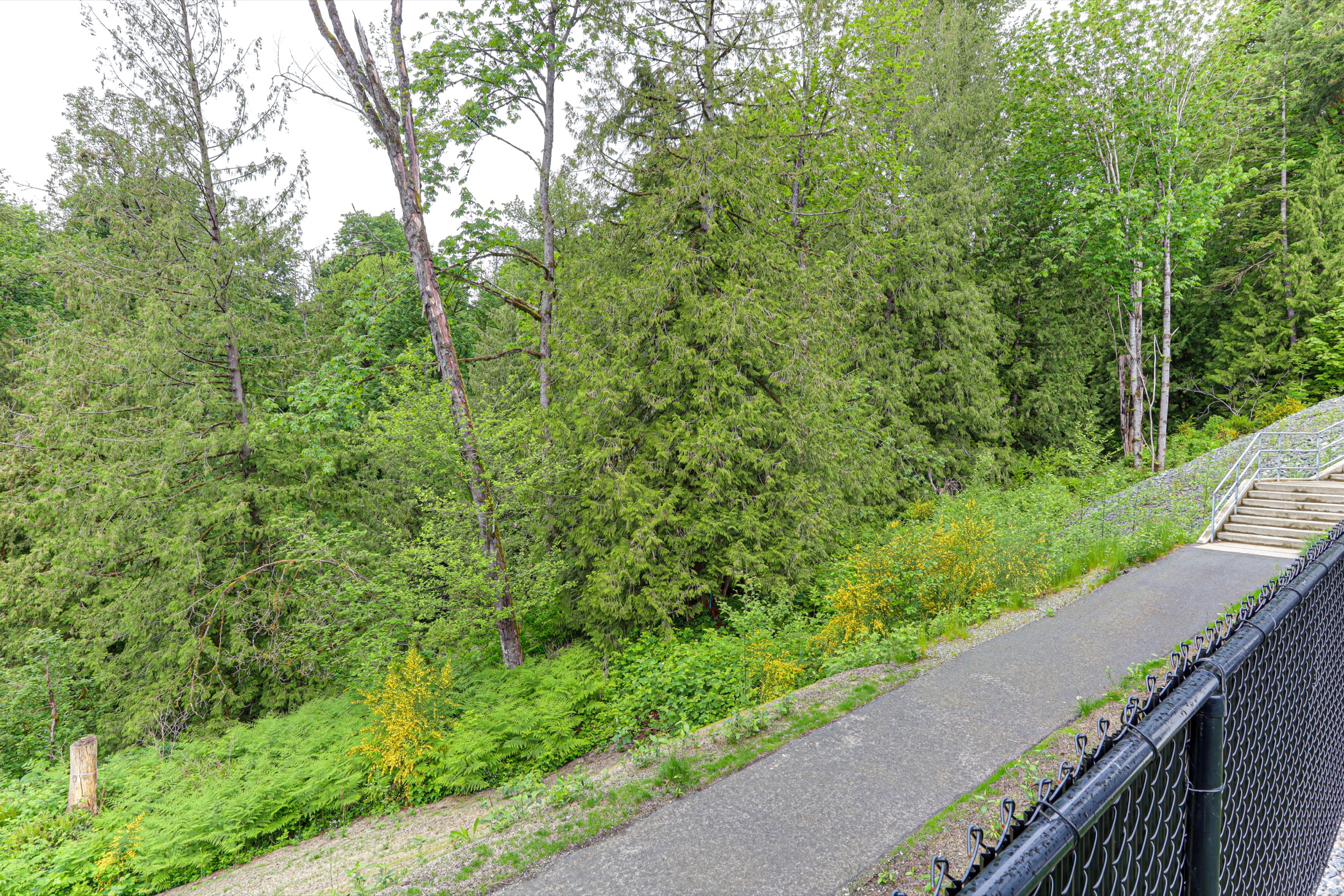 Property photo 149