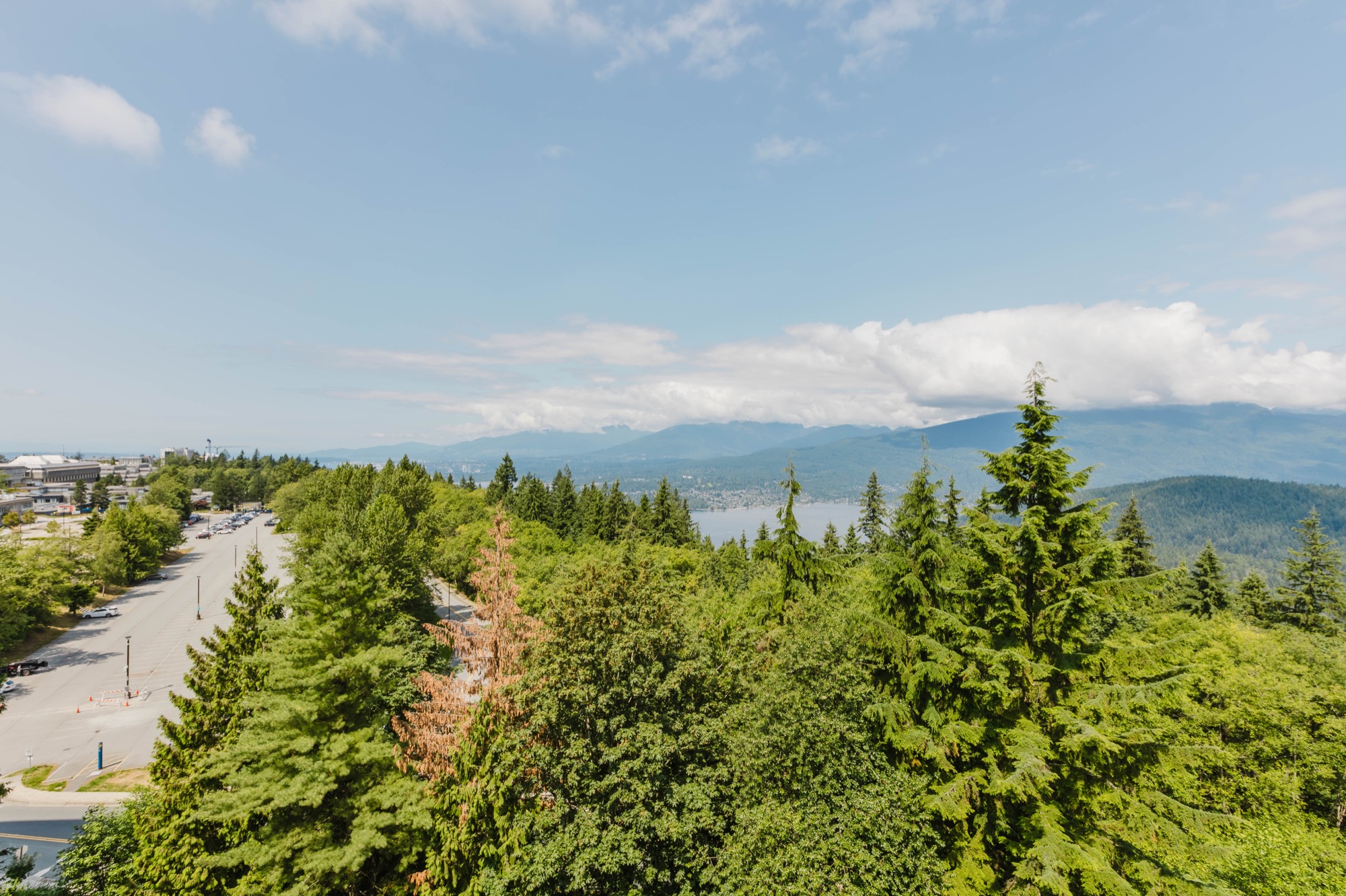 Property photo 136